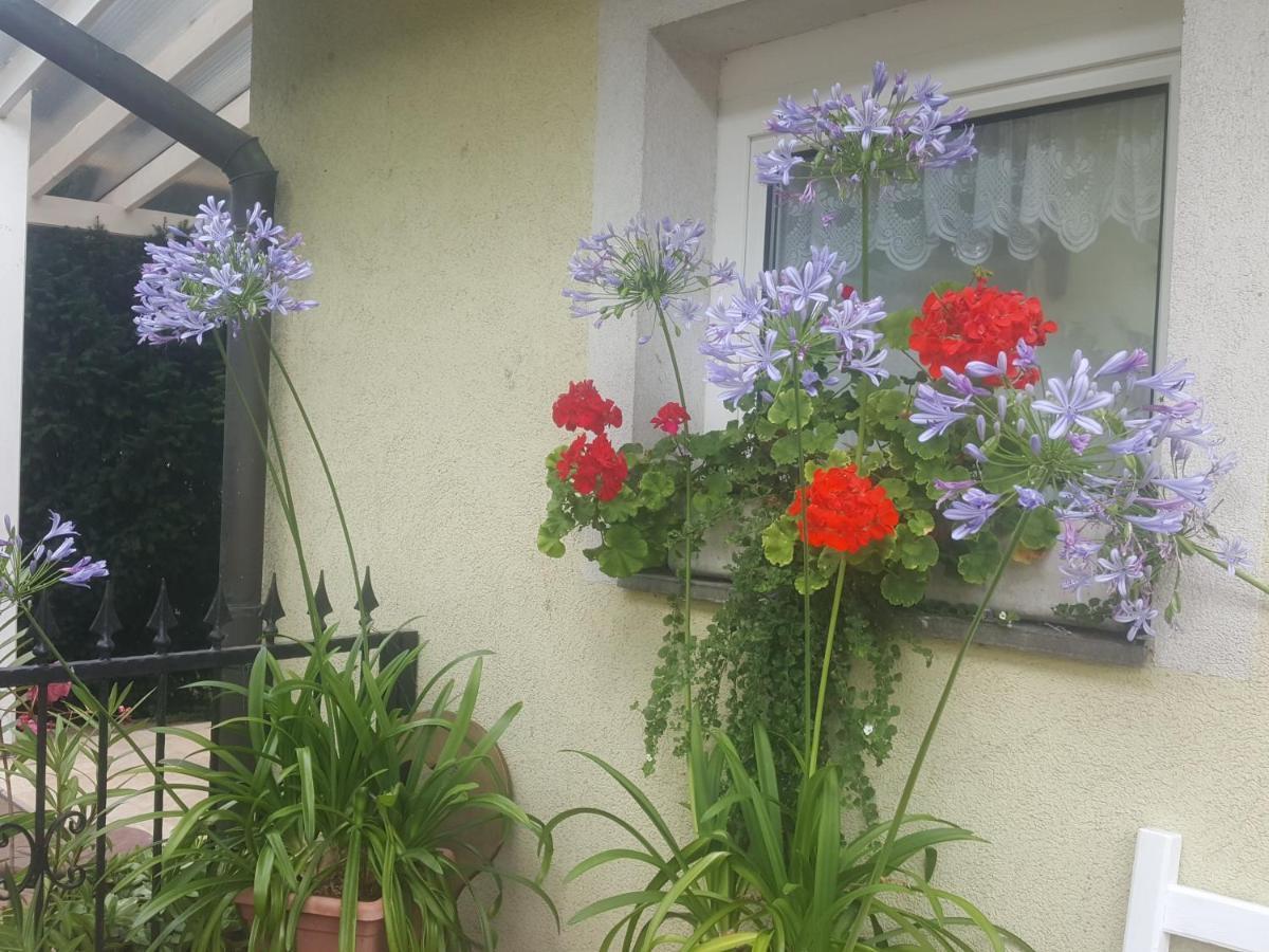 Tavirozsa Apartment Balatonfuzfo Exterior photo